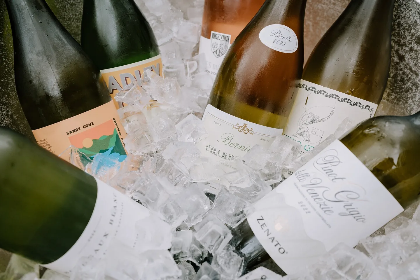 Bottles of white and sparkling wine chilling in a tub of ice